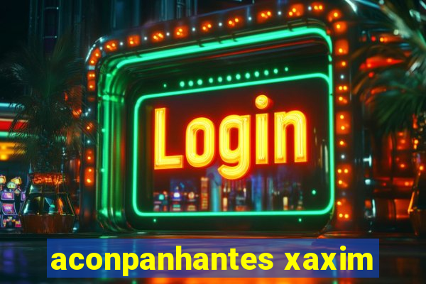 aconpanhantes xaxim